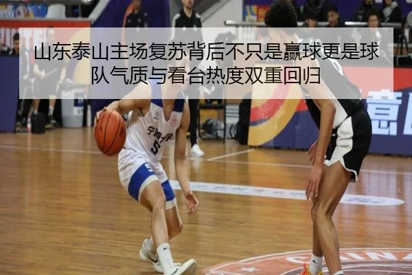 山东泰山主场复苏背后不只是赢球更是球队气质与看台热度双重回归（wanmeizhenren）